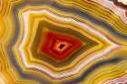 Laguna agate from Mexico Art Print